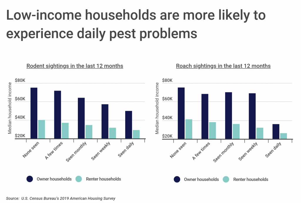 Low income homes are more likely to experience daily pest problems